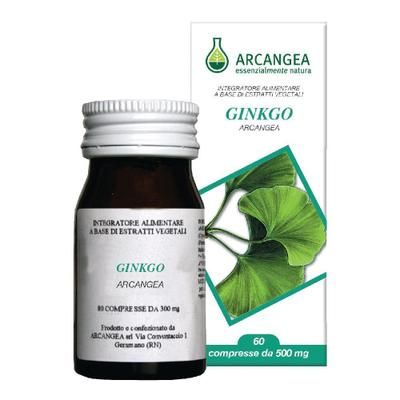 Ginkgo Biloba 60 Capsule 500 Mg pz