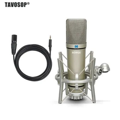 Metal Condenser Microphone Laptop Professional Microphone Recording Studio Voice Game Anchor Self-media Commentary Recording