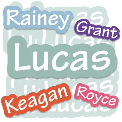 2 Sheets 12pcs Custom Name Stickers for Kids and Adults, Personalized Labels, Ideal for School, Bottles, and Gifts,Easy to Apply