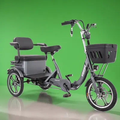 Family Electric Bicycle 48v Folding Trike Electric Bike 3 Wheel Adult 2 people With Basket Removable Battery