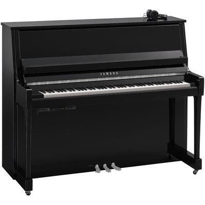 Yamaha B30 SC3 PEC