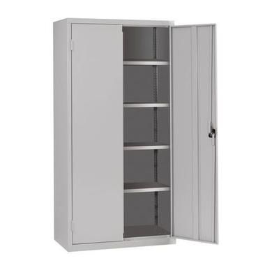 Armoire Monobloc Haute H 1980 X L 1000 X P 43 0 Gris/gris - Acial
