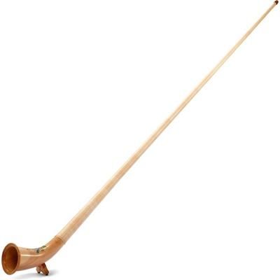 Alfons Neumann Alphorn Meisterklasse painted