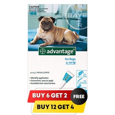 Advantage Medium Dogs 11-20lbs (Aqua) 6 + 2 Free