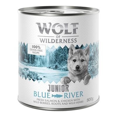 Little Wolf of Wilderness Junior 24 x 800 g - Blue River - Pollo & Salmone