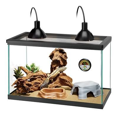 Premium Desert Starter Kit, 10 Gallon