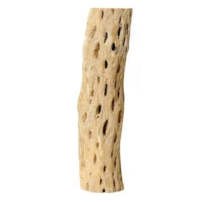 Cholla 12" Wood, 1.1 LB, Off-White