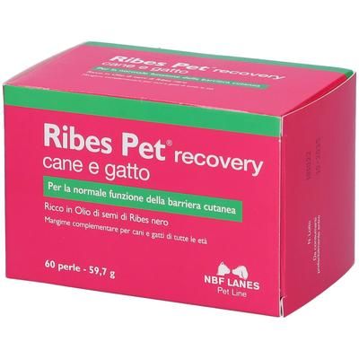 NBF Lanes Ribes Pet Recovry Cane e Gatto Perle 60 pz Compresse