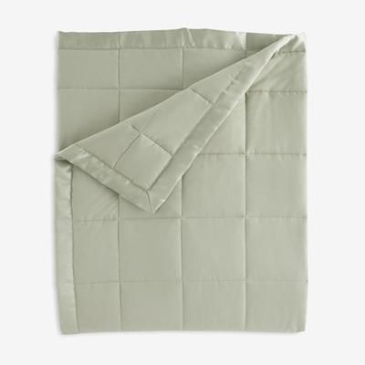 Down-Alternative Blanket by BrylaneHome in Sage (Size TWIN)