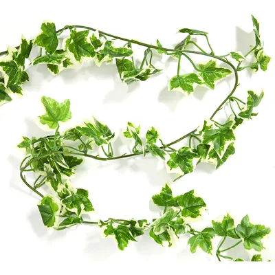 Guirlande de lierre, vert/blanc, 2,7 m
