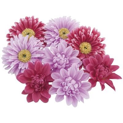 Boutons de fleurs, lilas/rose vif, 7 cm Ø, 8 pièces