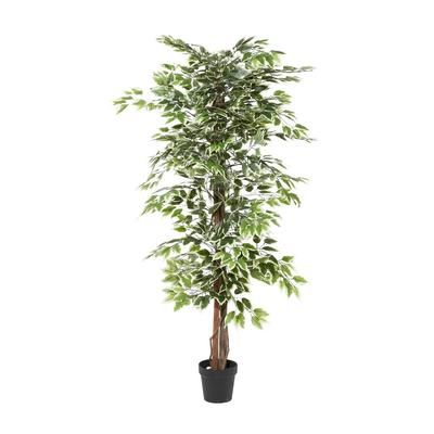 Juniper + Ivory 73 In. x 38 In. Traditional Artificial Ficus Green Polyester - Juniper + Ivory 88287