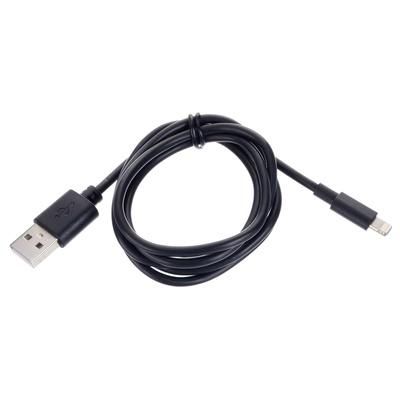 Ansmann Lightning/ USB-A 100