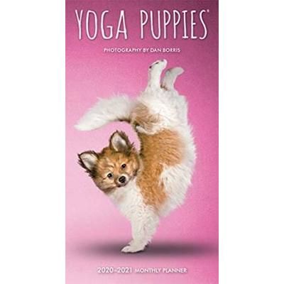 Yoga Puppies 2020 3.5 x 6.5 Inch Two Year Monthly Pocket Planner, Animals Humor Puppy