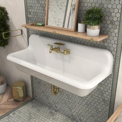 Randolph Morris 48 Inch Cast Iron Wall Mount Farmhouse Trough Sink CASTSINK48-8D-LG