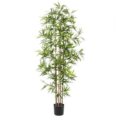 Juniper + Ivory 72 In. x 34 In. Traditional Artificial Bamboo Tree Green Polyester - 88291