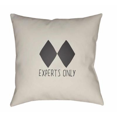 Kangal 20" Square Modern Pillow plush Arctic Stone/Eggplant/Driftwood/Smoke/Gray/Ash/Ivory/Light Silver/Metallic Silver Outdoor Throw Pillow - Boutique Rugs