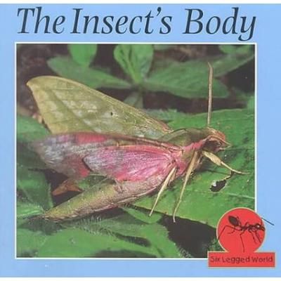 The Insect's Body