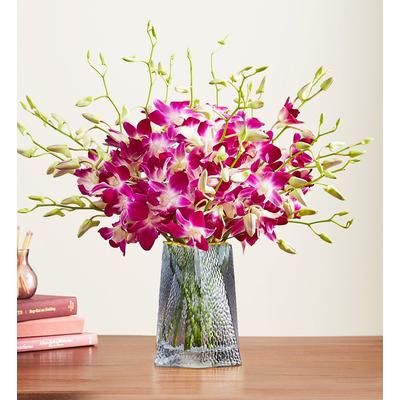 1-800-Flowers Flower Delivery Exotic Breeze Orchids 20 Stems W/ Blue Vase | Put A Smile On Their Face