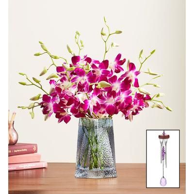 1-800-Flowers Flower Delivery Exotic Breeze Orchids 10 Stems W/ Blue Vase & Windchime | Happiness Delivered To Their Door