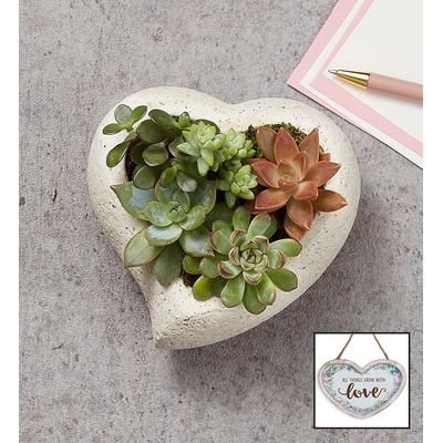 1-800-Flowers Everyday Gift Delivery Sweet Succulent Heart Garden Small W/ Plaque | Happiness Delivered To Their Door