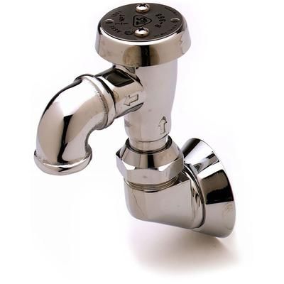 T&S B-0965 Vented vacuum Breaker, 3/4" NPT, Chrome