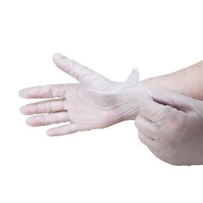 Rofson PFV200X Disposable Vinyl Gloves - Powder Free, Opaque, X-Large, Semi-transparent, Case of 2000