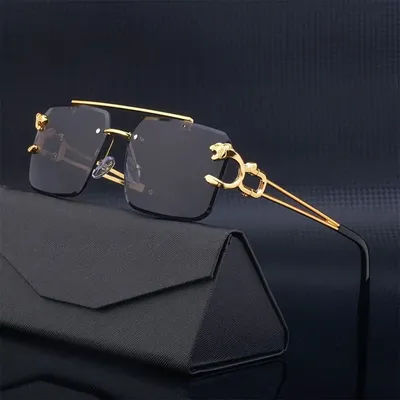 Lunettes de soleil léopard sans bords, carrées, Double pont, Vintage, pour femmes et hommes, UV400, Steampunk, nuances rétro