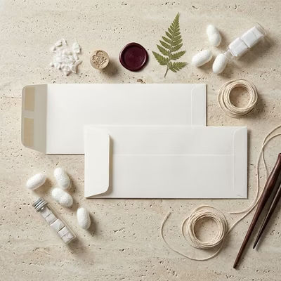 10 Policy Premium Envelopes, Natural 4 1/8" x 9 1/2" 50 pack