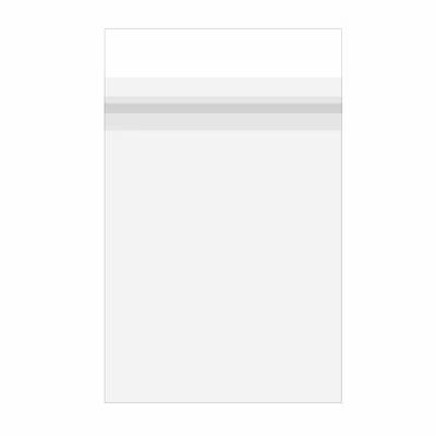 Crystal Clear Premium Laminated Protective Closure Bags 6" x 9" 100 pack