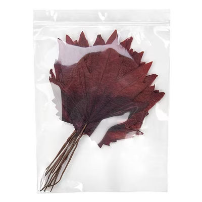 Crystal Clear Zip Bags + Round Hang Hole 8" x 10" 100 pack