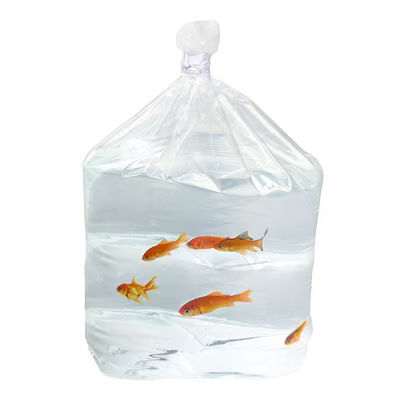 Large HD Tropical Fish Flat Bottom Waterproof Bags for Shipping Fish in Polystyrene Boxes Size 15 1/2" x 14 1/2" x 24 1/2" 100 Bags