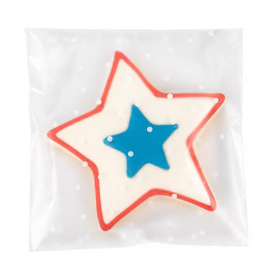 Frosted Flap Seal Bags with Dots 100 Pack 5" x 5"