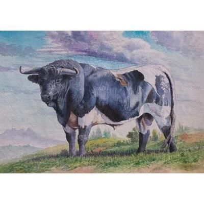 Imminent Force,'Signed Watercolor Painting of a Bull from Peru'