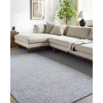 Zareh 8' x 10' Cottage Metallic Silver/Slate Blue Area Rug - Boutique Rugs
