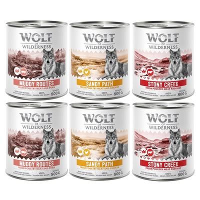 Set prova misto! Wolf of Wilderness Senior umido per cane - 6 x 800 g: 2x Pollame con Manzo, 2x Pollame con Maiale, 2x Pollame con Pollo
