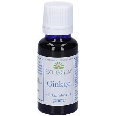 Extragem Ginkgo Gemme Gocce 20 Ml ml orali