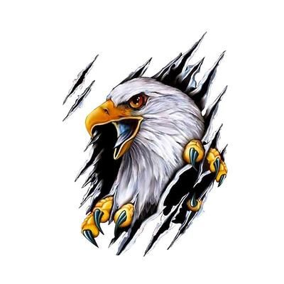 adesivi per auto decorazione decalcomanie del motociclo aquila accessori decorativi creativo protezione solare impermeabile adesivi per auto in pvc individualità adesivi per porte pieno adesivi per