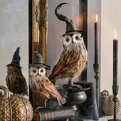 Witch Owls, Set Of Two - Grandin Road
