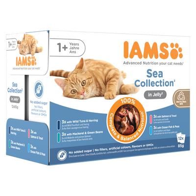 24x85g Jelly Sea Collection Adult Advanced Nutrition IAMS Wet Cat Food