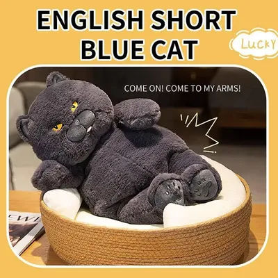 28cm Lovely Chubby Plush British Shorthair Cat Toys Soft Stuffed Animal Cat Dolls Kids Sleeping