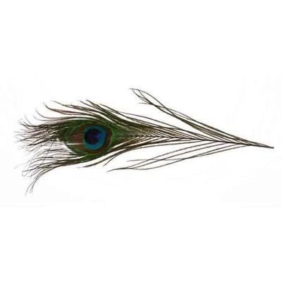 Troutsmen Peacock Eyes 12 inch -14 inch 2 Pack - Natural