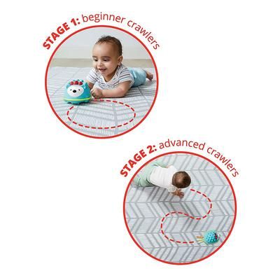 Skip Hop Explore & More Hello Hedgehog Crawl Toy