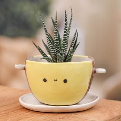 Bee Epoch,'Handmade Bee-Shaped Ceramic Flower Pot and Saucer (Medium)'
