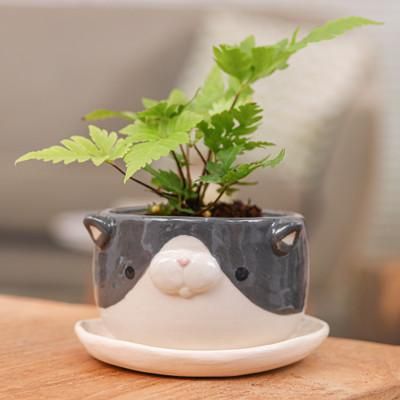 'Handcrafted Tuxedo Cat-Themed Ceramic Flower Pot and Saucer'