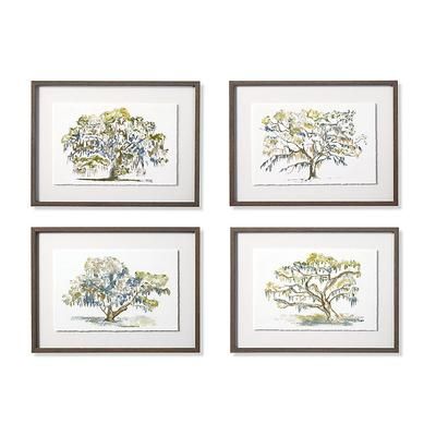 Spanish Moss Giclee Prints - Print III - Frontgate