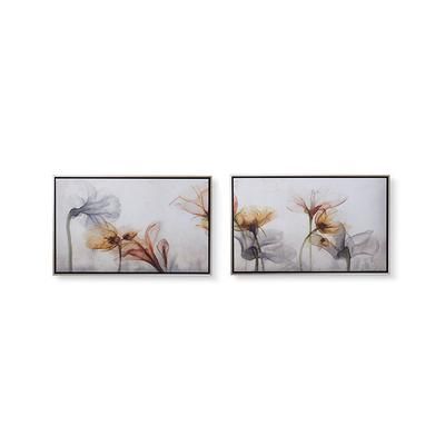 Florescence Giclee Prints - Diptych - Frontgate