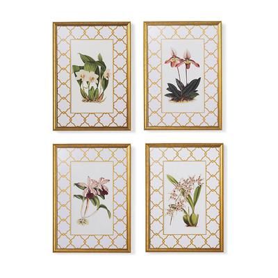 New York Botanical Garden Orchid Prints - Print IV - Frontgate