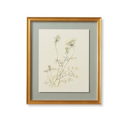 Queen Anne's Lace Giclee - Frontgate