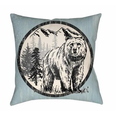 Wolfdale 16" Square Cottage Pillow plush Sky Blue/Black/Beige/Off White/Metallic Silver/Light Silver Outdoor Throw Pillow - Boutique Rugs